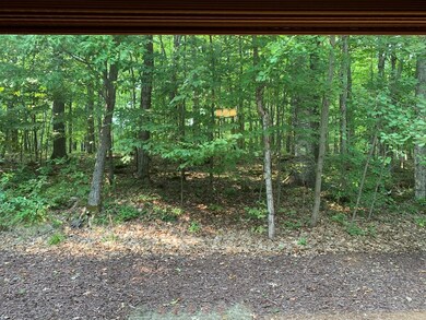Lovely Wooded Backdrop