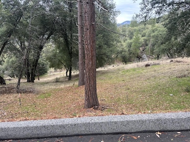 11 Tanglewood Ln, Oakhurst, CA - photo 5