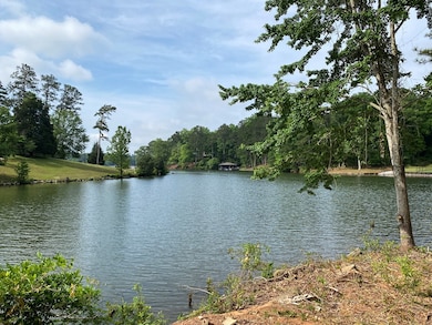 0 Davis Rd, Hamilton, GA 31811 - photo 3