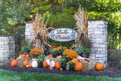 9314 Emily Ln, Union, IL 60180 - photo 2