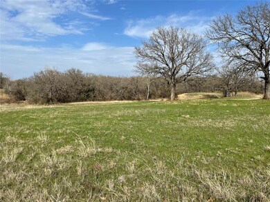 00 Rhoades Ln, Springtown, TX 76082 - photo 2