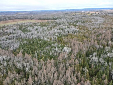 481 Plante Rd, Caribou, ME 04736 - photo 4