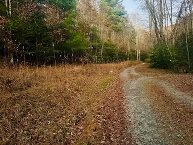 LT 9 Timberline Rd, Murphy, NC 28906 - photo 3