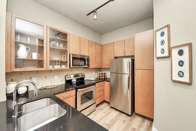 5455 Richmond Ave unit 2051, Houston, TX 77056 - photo 5