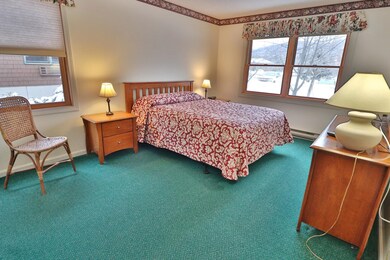 160 Deer Park Dr unit 142A, Woodstock, NH 03262 - photo 6