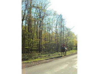 Land/Lot