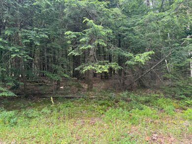 Mp46Lt2017 Island Rd, Limerick, ME 04061 - photo 2