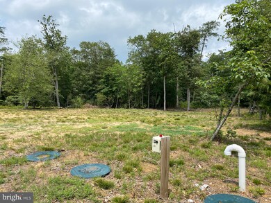 30822 White Cypress Cove, Laurel, DE 19956 - photo 3