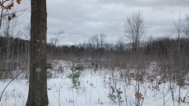 V/L 118A E Townline Rd, Free Soil, MI 49411 - photo 6