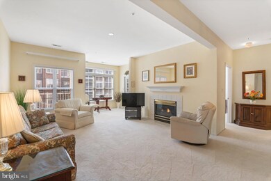 8813 Groffs Mill Dr unit 8813, Owings Mills, MD 21117 - photo 7