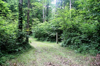 Pull into the cleared driveway