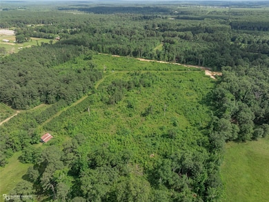 View of drone / aerial view