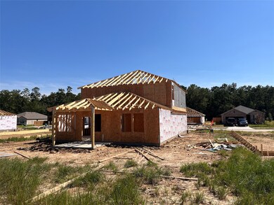 Backyard - Still under construction!