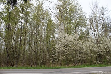 unlisted-address, Graham, WA 98338 - photo 3