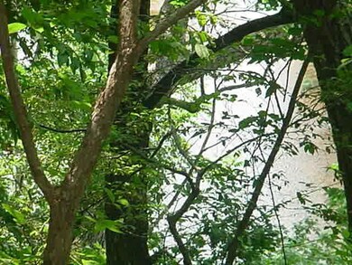 VIEW OF WATER FROM REAR OF LOT