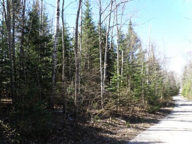 View from Fish Rd looking north.