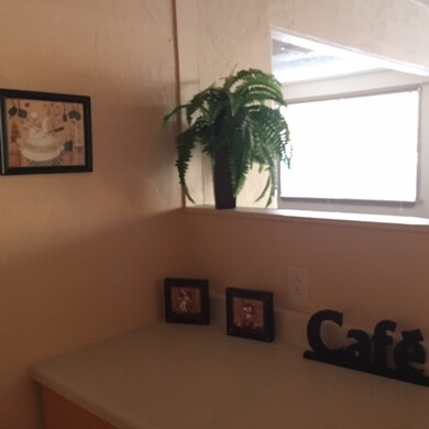 603 Spruce Ave, Alamogordo, NM 88310 - photo 4