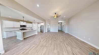 5109 W Grey Ghost Rd, Hobbs, NM 88240 - photo 3