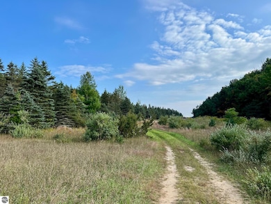 00 Skinner Rd, Ellsworth, MI 49729 - photo 2