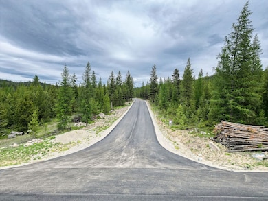 NHN View Ridge, Marion, MT 59925 - photo 5