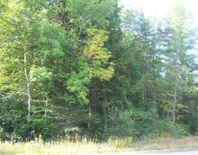 Land/Lot.