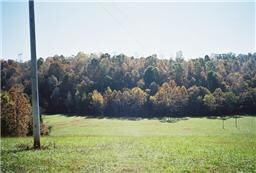 0 D J Rye Rd, Tennessee Ridge, TN 37178 - photo 4
