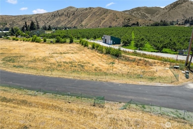 6 Penstemon Ln, Monitor, WA 98836 - photo 2