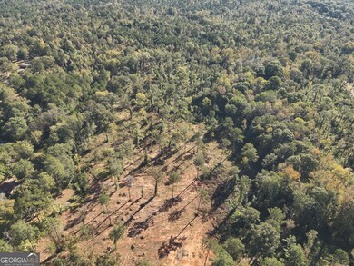 283 Lower Simmons Rd, Macon, GA 31220 - photo 5