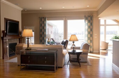 Living Room 1