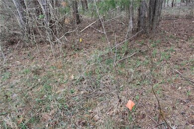 8586 Haydens Way, Concord, NC 28025 - photo 5