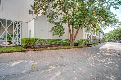 MATURE TREES AND GREEN LANDSCAPING