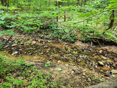 599 Shiloh Rd, Statesville, NC 28677 - photo 7