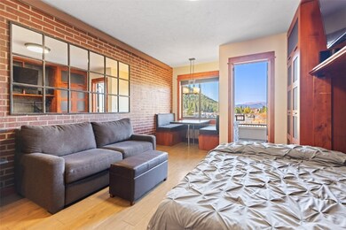 Living space with murphy bed.