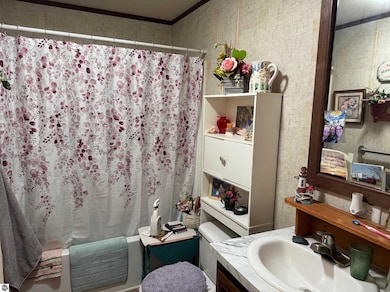 5232 E Broadway Rd, Mount Pleasant, MI 48858 - photo 7