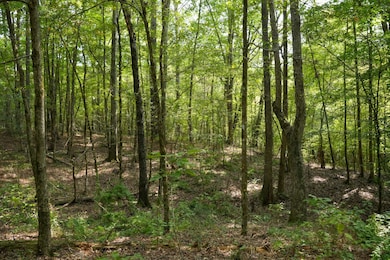 0 Bethesda Rd unit 11612880, Crystal Springs, MS 39059 - photo 4