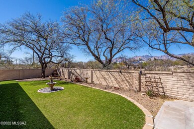 Mature mesquite trees surrounding yard.