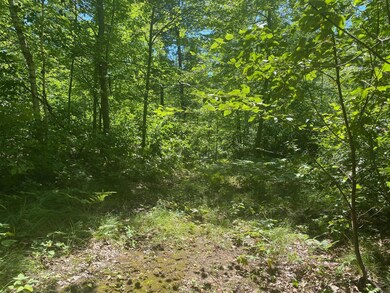 XXX Pot o Gold Rd, Oakland, WI 54830 - photo 6