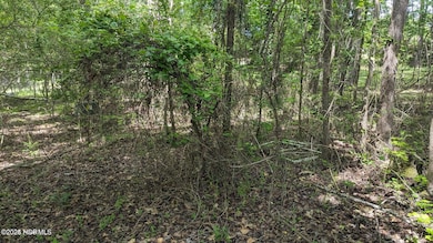 20240628041706489547000000-o