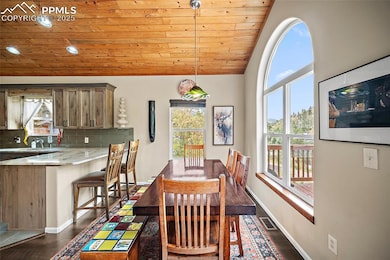 9845 Mesa Rd, Cascade, CO 80809 - photo 7