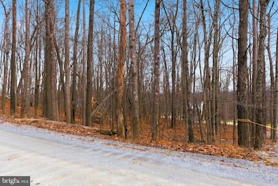 0 Cardinal Dr unit VAFV2038232, Winchester, VA 22602 - photo 6