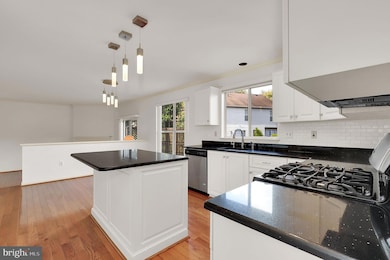 12113 Milestone Manor Ln, Germantown, MD 20876 - photo 6