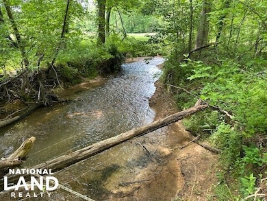 0 May Branch Rd, Cypress Inn, TN 38452 - photo 6