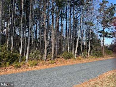 0 Hickman Ln unit 338, Nanticoke, MD 21840 - photo 4