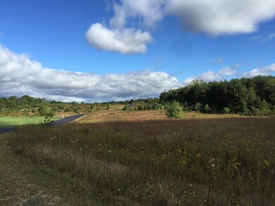 0 Anthony Way Tract 12 unit 16031614, Niles, MI 49120 - photo 6