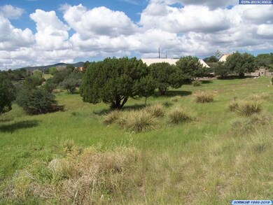 xxx Rosewood Cir, Silver City, NM 88061 - photo 6