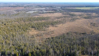 Highway 45, Birnamwood, WI 54414 - photo 4