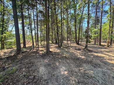 0 Richard Dorning Rd unit LotWP002 24538018, Kimmins, TN 38462 - photo 7