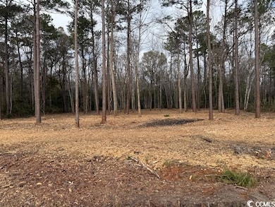 View of landscape