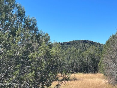S2 196 Un Named Rd, Ash Fork, AZ 86320 - photo 5