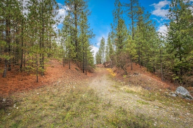 4425 Stonebrook Way, Springdale, WA 99173 - photo 3